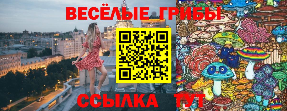 Псилоцибиновые грибы мухоморы Беслан