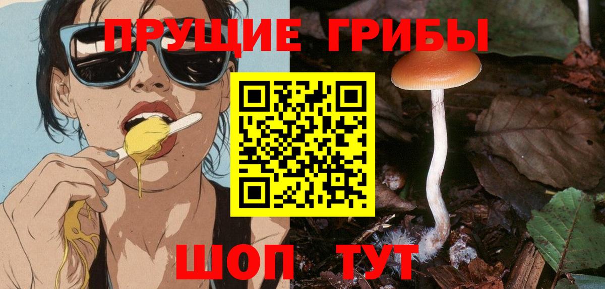 Псилоцибиновые грибы прущие грибы  Вход с VPN  Беслан 